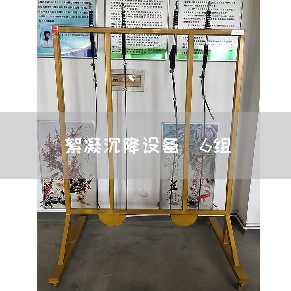 絮凝沉降设备（6组）