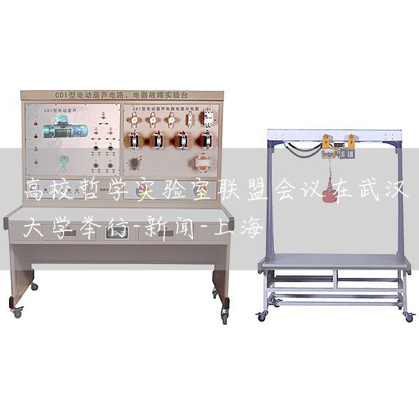 高校哲学实验室联盟会议在武汉大学举行-新