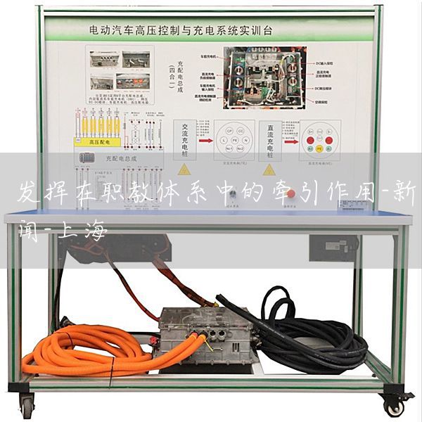 发挥在职教体系中的牵引作用-新闻-上海